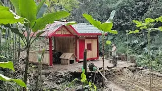 Young CEO Builds a Fish Pond and New Home, Doing Everything to Begin a New Life in the Forest