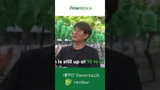 Why Farmer Chose LED Grow Lights for Growing Grapes l HIPPO FARMTECH