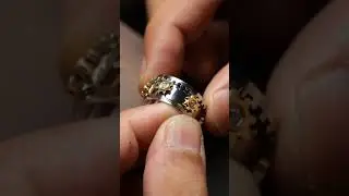 Gear Rings Free yourself from bondage, set love free, and be your best self. How do you like it?