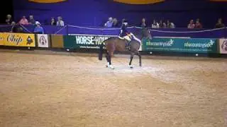 HOYS Working Hunter Lap of Honour