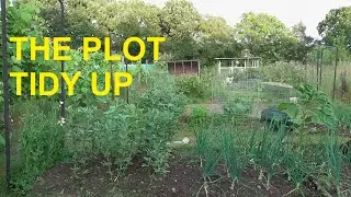 The Big Plot Tidy Up #gardening #allotment