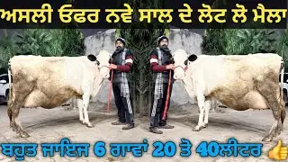 6 ਚੰਗੀਆ ਵੈੜਆ ਵੀਕਾਓ। cows for sale/vadiya farm/30-12-25