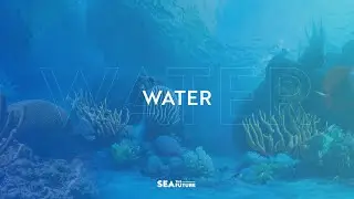 Royal Caribbean Group's Water Conservation Efforts | SEA the Future