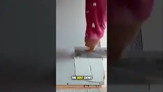 Perfect Wall Skim Coating with Trowel | Satisfying Drywall Finishing Process