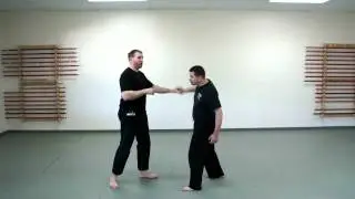 Basic Punch Defense Against a Street Brawler