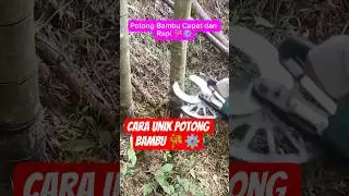 Cara Unik dan Kreatif Memotong Bambu dengan Alat Melingkar Super Cepat 🎋⚙️