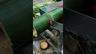 Hand Saw Cleanly Cuts Bamboo Tube for Farm Tools 🌿 So Satisfying