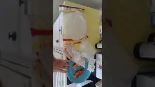 Tortilla 101 w/MikeyP