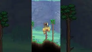 Terraria - Самые редкие предметы!