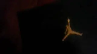 The jordan flight origin 4