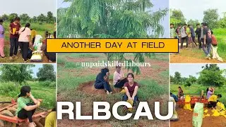 Another day in Bhojla RLBCAU #rlbcau #vlog #horticulture #agriculture #icar