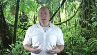 Top 3 Herbs To Stimulate Your Third Eye!