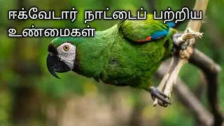 ஈக்வேடார் நாட்டைப் பற்றிய உண்மைகள் / ECUADOR / LEFT WING TAMIL