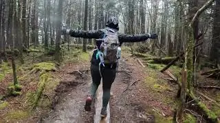 Great Smoky Mountains National Park: Hiking Andrews Bald in the rain!