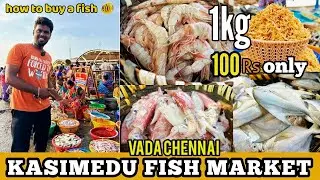 SUNDAY KASIMEDU FISH MARKET 2024 (How to visit & buy fish )🐟 🦐🐠