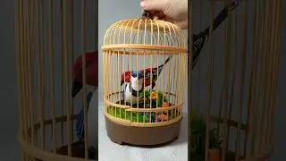 Beautiful Bird 🦜 #toys #asmr #asmrvideo #unboxing #birds