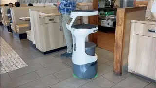 America-வில்  Worst Food in Anjappar Chettinad Restaurant, Milpitas | #india #indian #usa #chicken