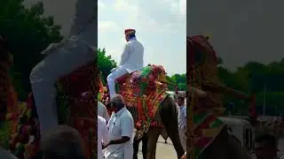 #bjprajasthan #trending #bjp #bjprajasthan #