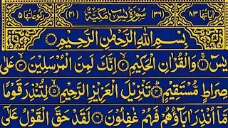 Surah Yaseen Surah Ar Rahman | Best Qur'an Recitation | Surah Yasin full | Surah Mulk Tilawat