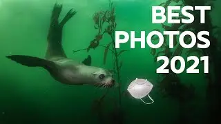 The best photos of 2021 | Compilation of the most wonderful photographs of the year