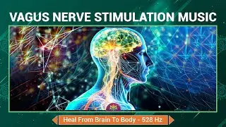 Vagus Nerve Stimulation Music - Heal From Brain To Body - Reset Your Nervous System - 528 Hz