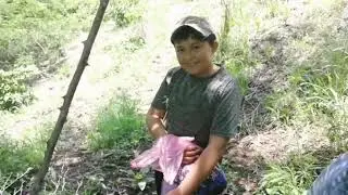 El Zapotito