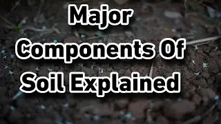 Major Components Of Soil | Soil Composition