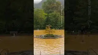 Thermal bath, Terra Nostra Park - AZORI #shorts    #nature   #documentary   #naturevideo