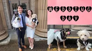 OUR SMALL COURT WEDDING ❤️