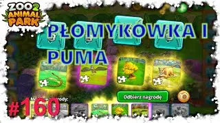 🦁 Zoo 2: Animal Park: #160 Płomykówka i puma