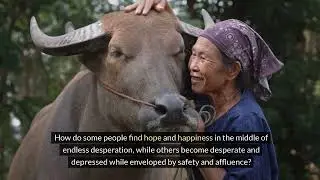 Guide to Joy : A Personal Slice of Heaven