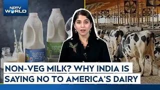 India US Trade Deal | 'Non-Veg' Milk? The Shocking Reason India Won&rsquo;t Let US Dairy In