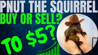 PNUT COIN MAJOR PRICE PUMP! PEANUT THE SQUIRREL PRICE PREDICTION & ANALYSIS! PNUT CRYPTO PRICE