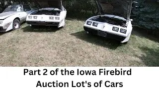 Part 2 Of the Iowa Firebird Auction Horde #firebird