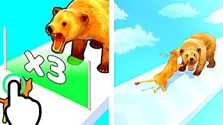Cat Evolution - Cat Evolution Run - All Levels iOS Android GamePlay