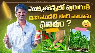 ఇగ్నిస్ తో  లాభాల దూకుడు మొదలైంది!!