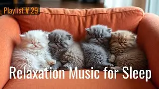 【Playlist -29】 Soft Piano Night Music & Sleeping Kittens