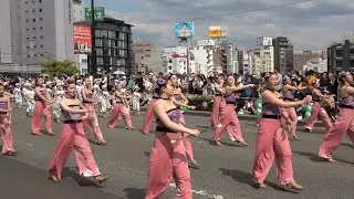 博多どんたく2024  高校の部パレード