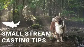 Twelve Small Stream Fly Casting Tips -- Riverside