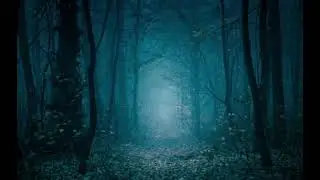 Vanishing Hollow Creek: A Forgotten Mystery ˡ Veil Archives