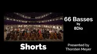 Legion Series 66 Basses by 8DIO Shorts