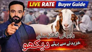 Rahwali Ghakhar Bakra Mandi Today 🔥 | Live Goat Prices | Fresh Update