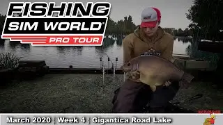 Fishing Sim World Pro Tour &brvbar; DFL PC&brvbar; March 2020 &brvbar; Week 4 &brvbar; Gigantica Road Lake