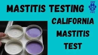 California Mastitis Test