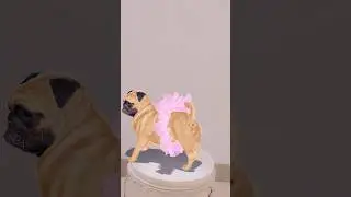 #funny 😝😝 #comedy #animals #pets # trending#sort