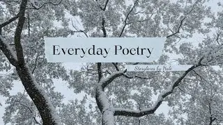 Everyday Poetry: A Full Circle of Seasons | 16 MIN Immersive Film