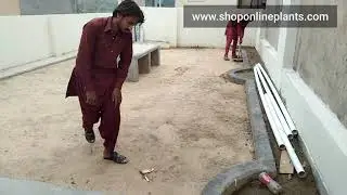 Making Lawn with korean grass carpet Gardening&nbsp;Science