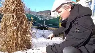 Feuer machen im Winter mit nur 3 Gegenat&auml;nden. (Feuerstahl + 1/2 Taschentuch, Birkenrinde)