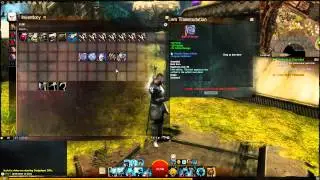 Guild Wars 2 &mdash; Передача предмета, привязанного к душе, другому мультяшному персонажу