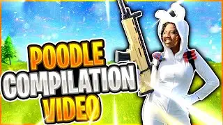 Tatted Poodle's First Highlight Video